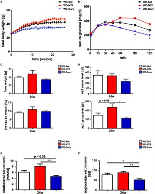 The Influence of Different Fat Sources on Steatohepatitis and Fibrosis Development in the Western Diet Mouse Model of Non-alcoholic Steatohepatitis (NASH)